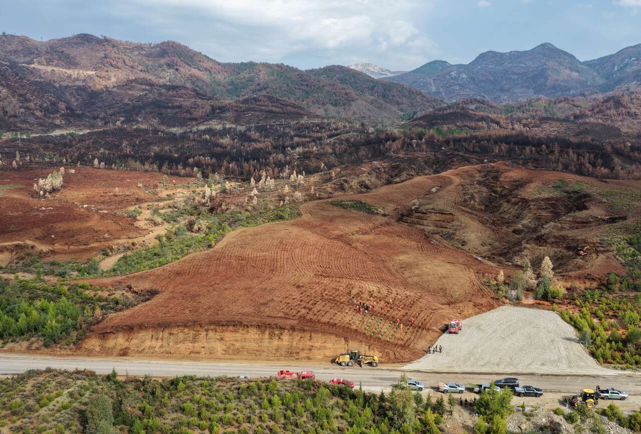 Muğla Orman Bölge Müdürlüğü 11 Kasım’da Yeşil Vatan İçin Seferber Oluyor 5